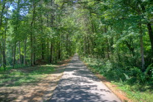 41 Aerial Silver Comet Trail B