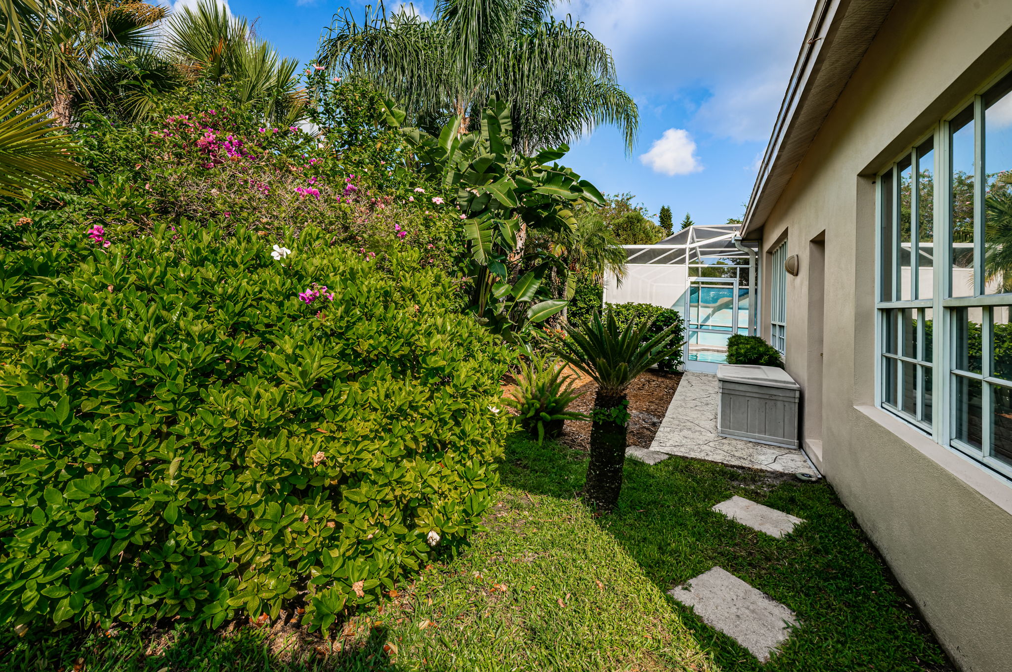 Backyard1