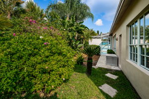 Backyard1