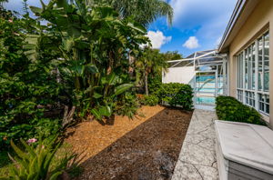 Backyard2