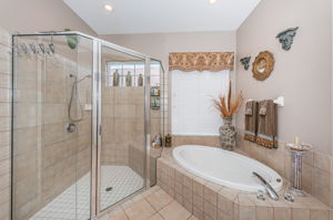 Master Bathroom1b