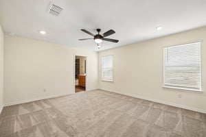 Harper Lee Ln-S2410-018.jpg