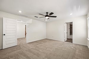 Harper Lee Ln-S2410-019.jpg
