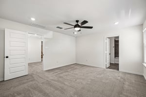 Harper Lee Ln-S2410-019r.jpg