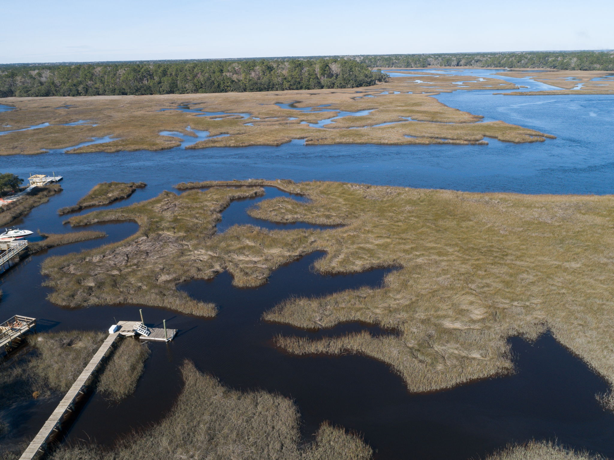  4273 Jacob's Point Blvd, Ravenel, SC 29470, US Photo 13