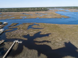  4273 Jacob's Point Blvd, Ravenel, SC 29470, US Photo 12