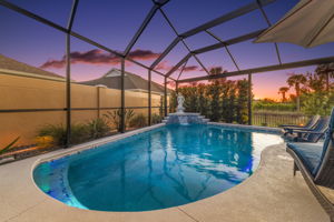 Twilight Swimming Pool with PRIVACY Wall and Landscaping