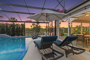 Twilight Swimming Pool with PRIVACY Landscaping