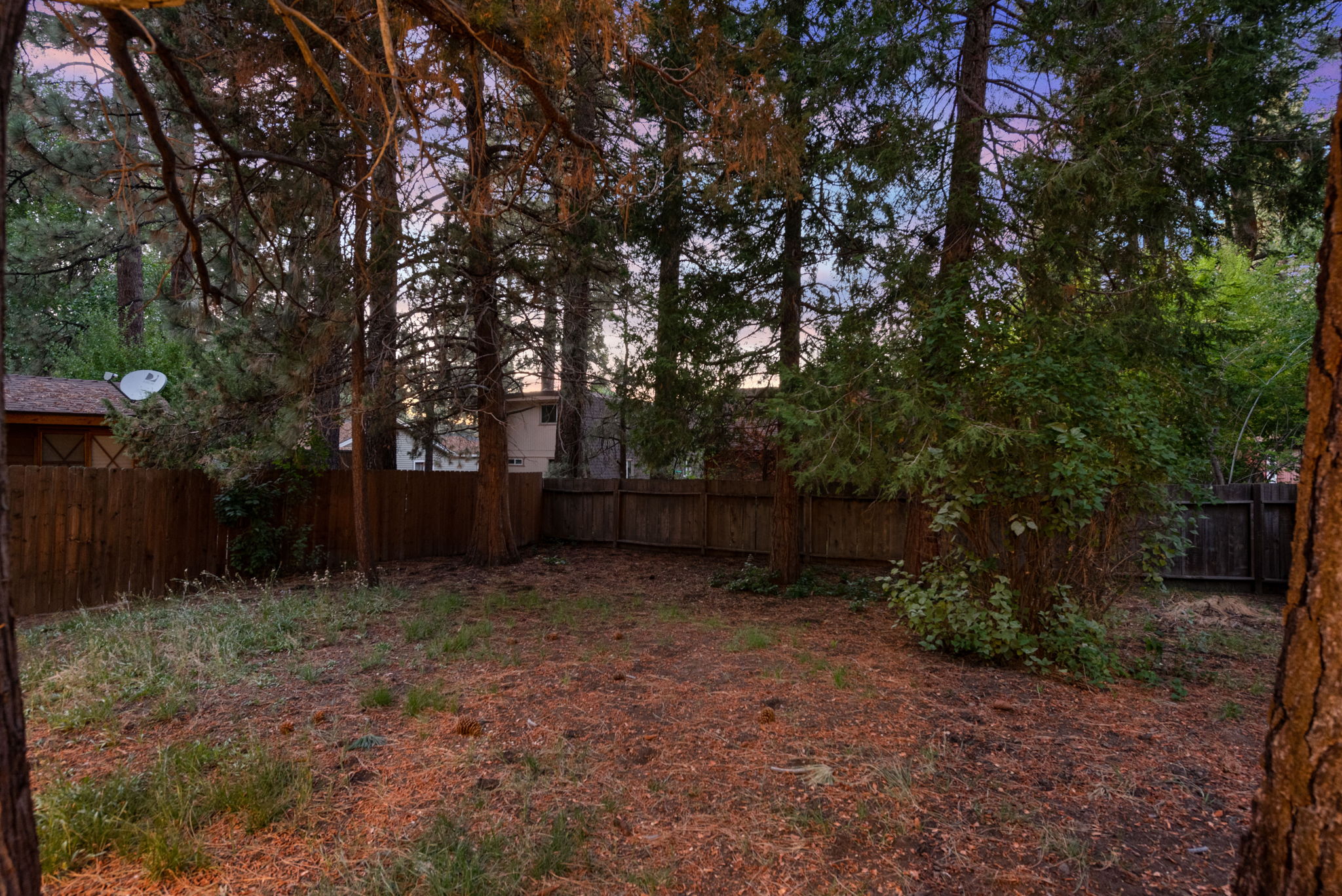  Photo 40