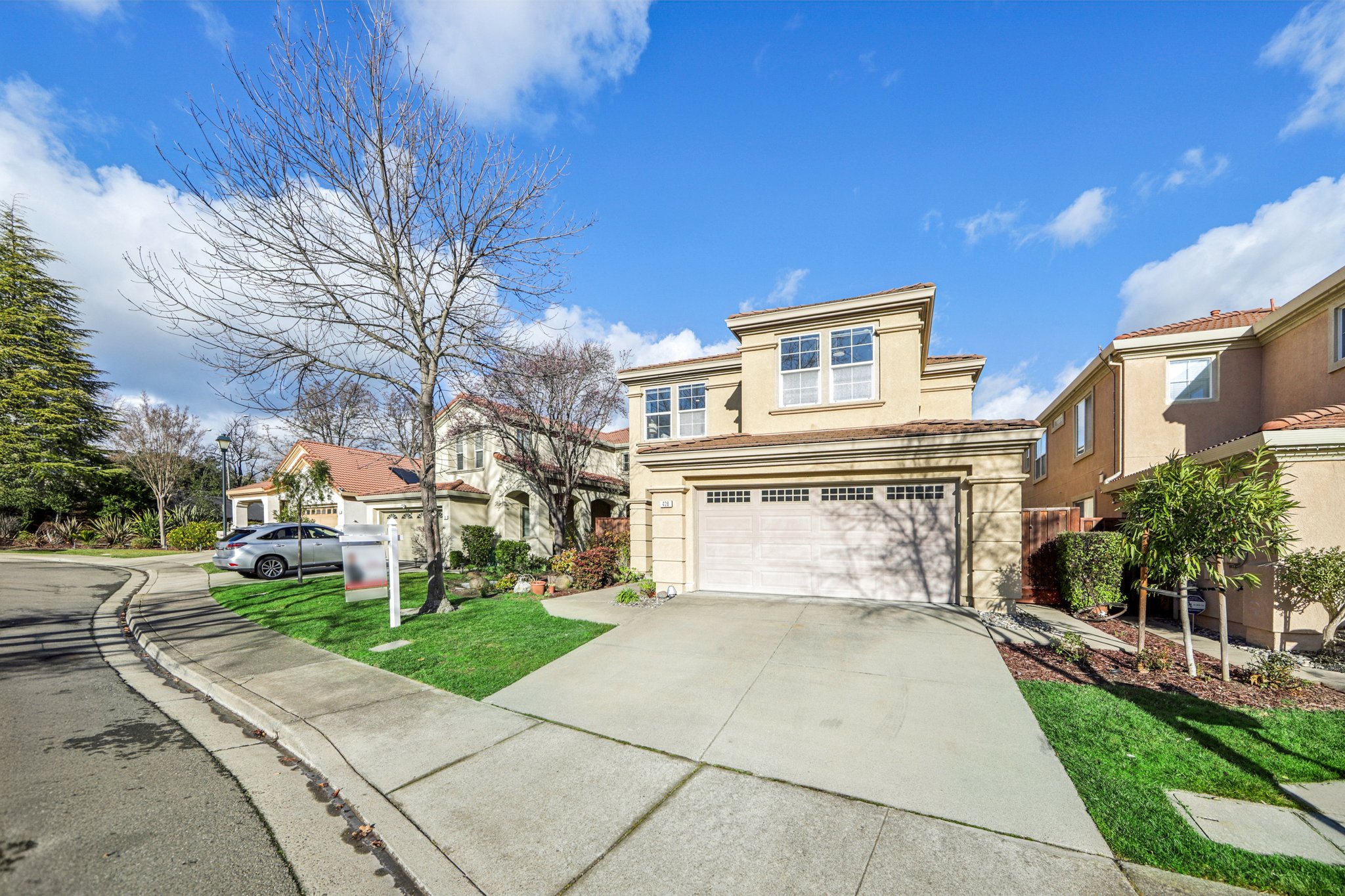 Fuchsia Ln-S2002-002.jpg