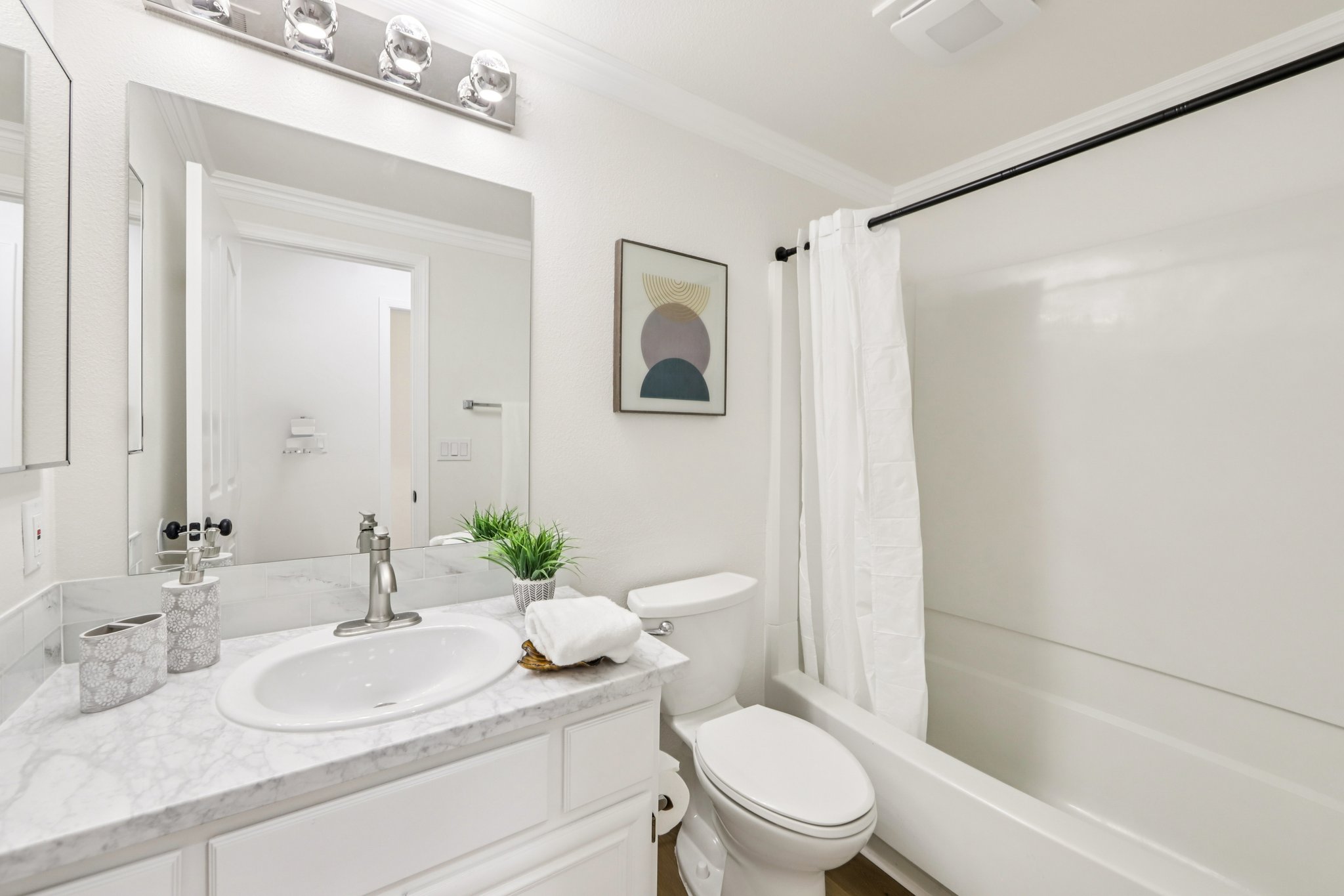 Fuchsia Ln-S2002-025.jpg