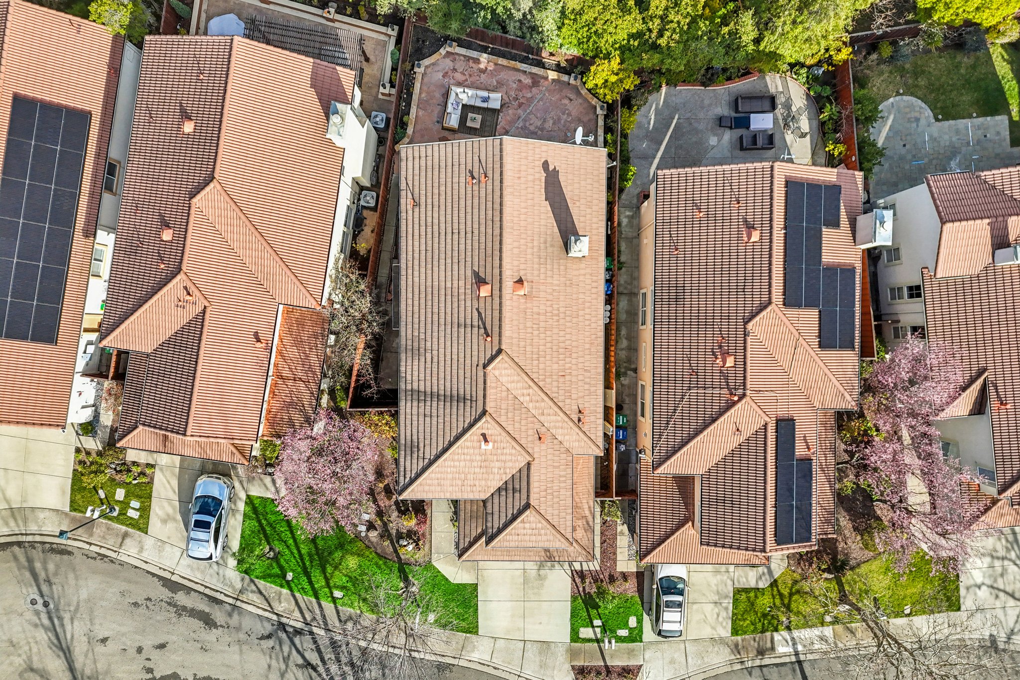 Fuchsia Ln-S2002-049.jpg