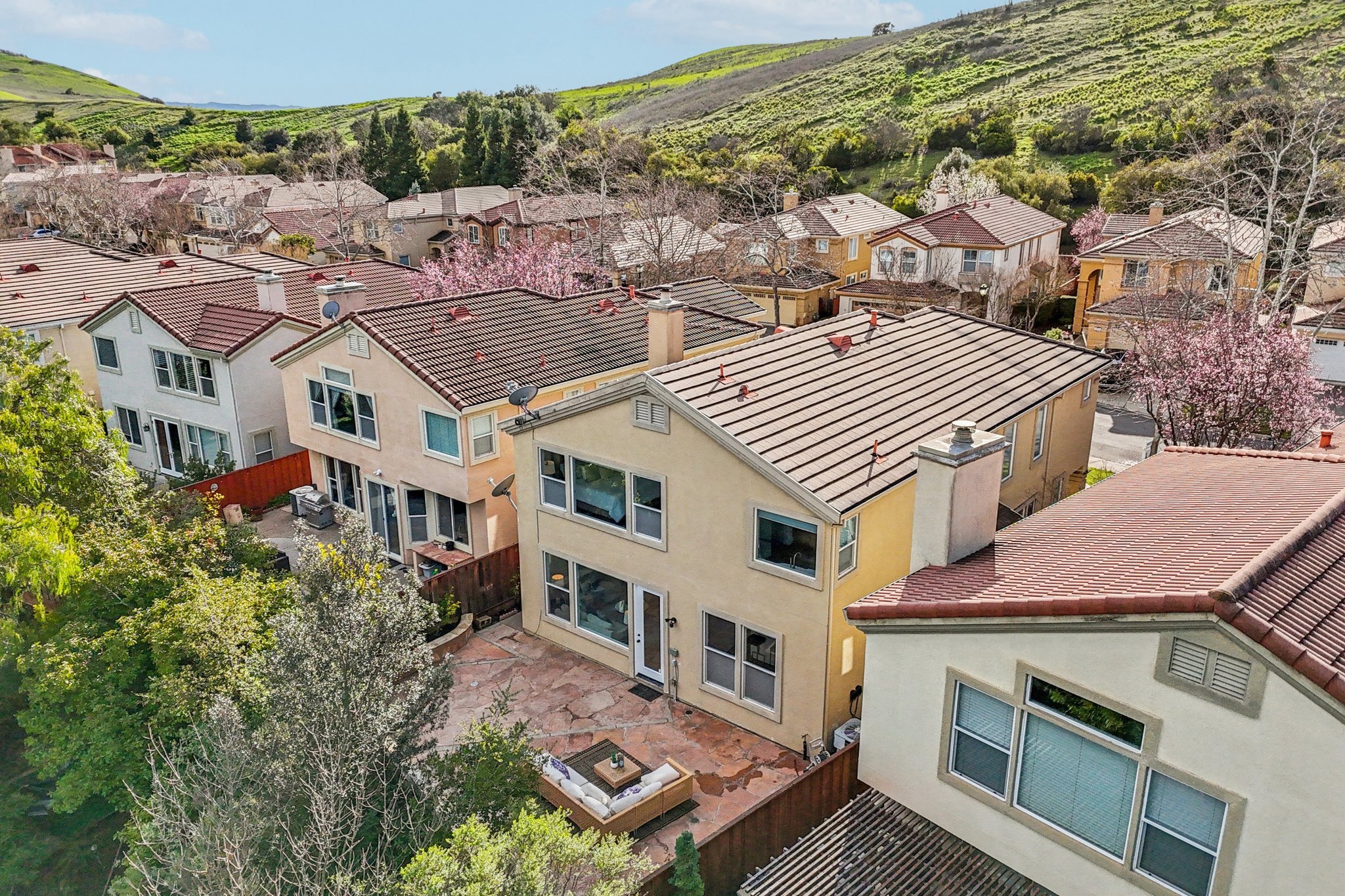 Fuchsia Ln-S2002-050.jpg