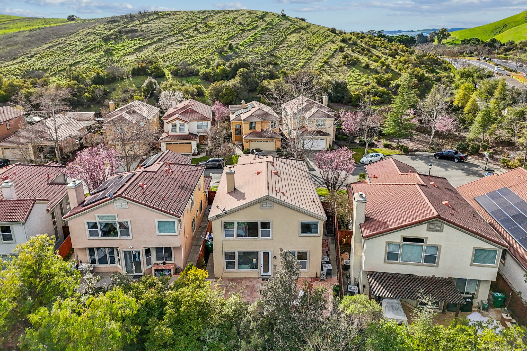 Fuchsia Ln-S2002-052.jpg