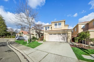 Fuchsia Ln-S2002-002.jpg