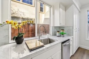 Fuchsia Ln-S2002-024.jpg