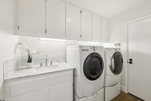 Fuchsia Ln-S2002-028.jpg