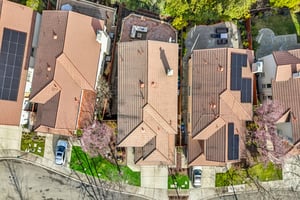 Fuchsia Ln-S2002-049.jpg