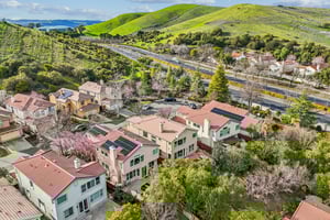 Fuchsia Ln-S2002-053.jpg