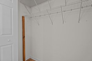  Photo 50