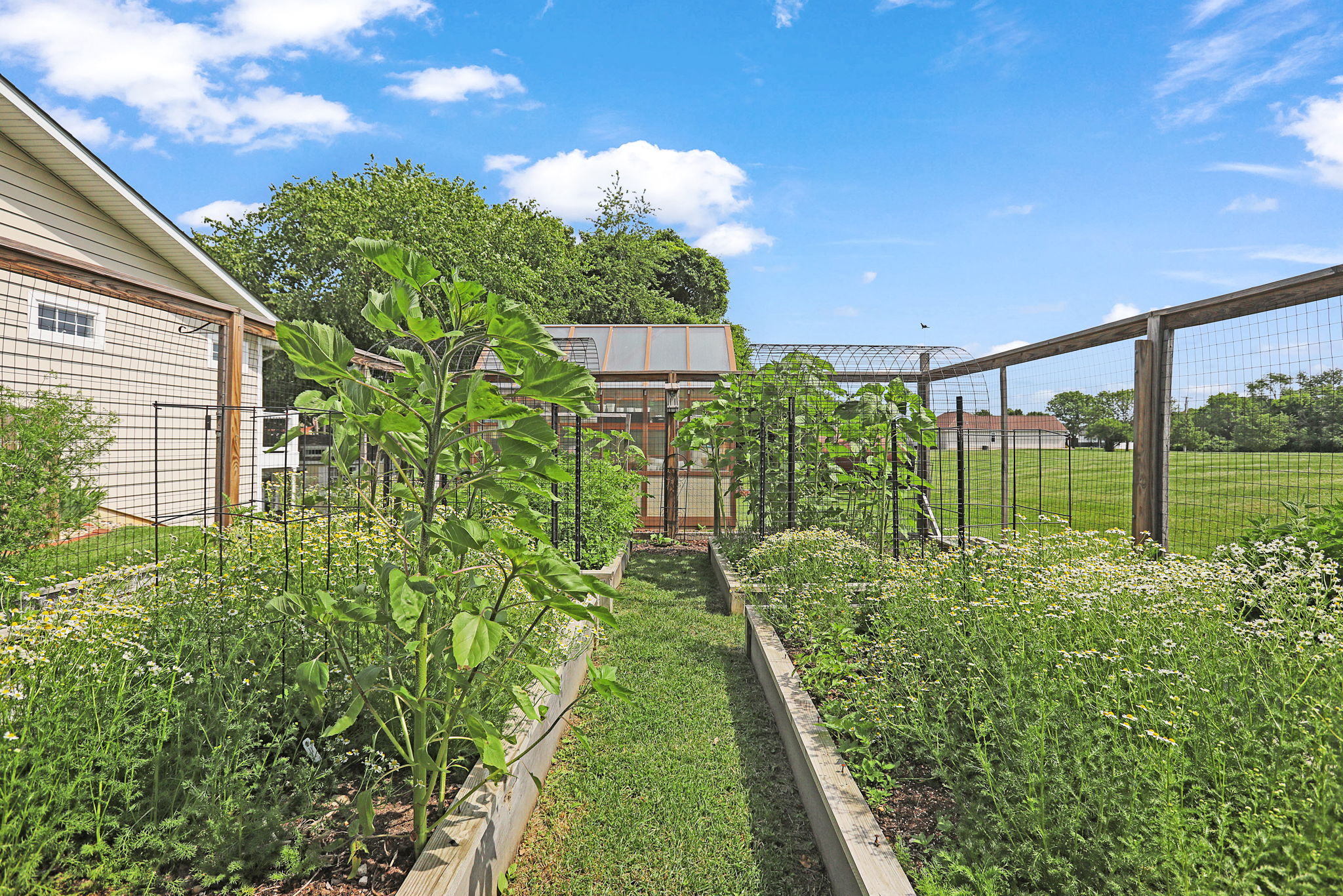 Yard