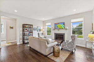 Living room with fireplace
