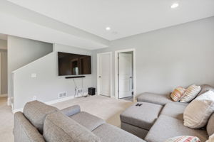 Lower level family room