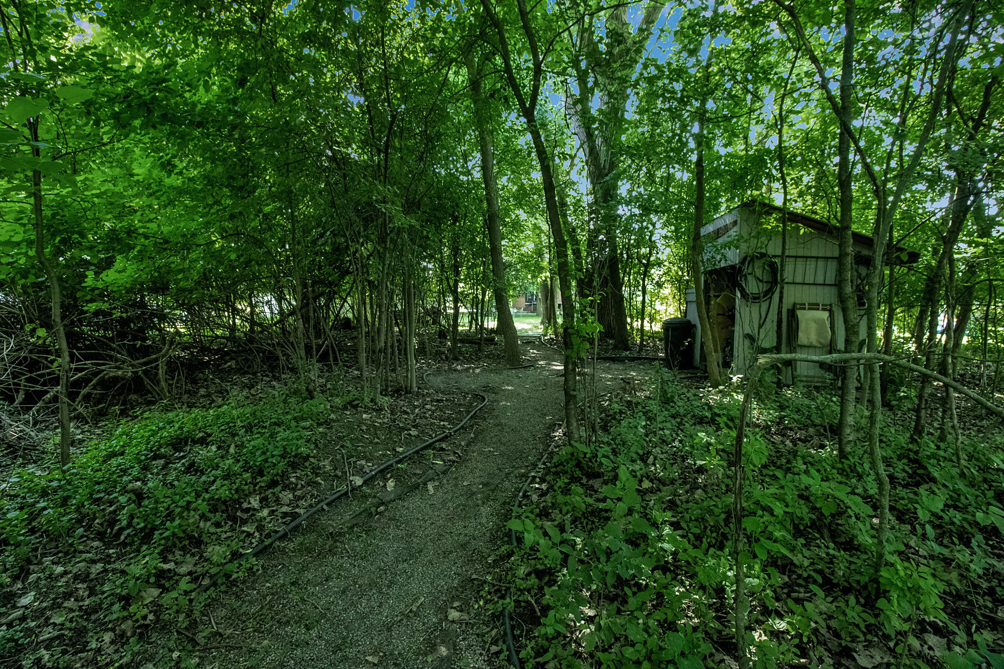 Photo 19
