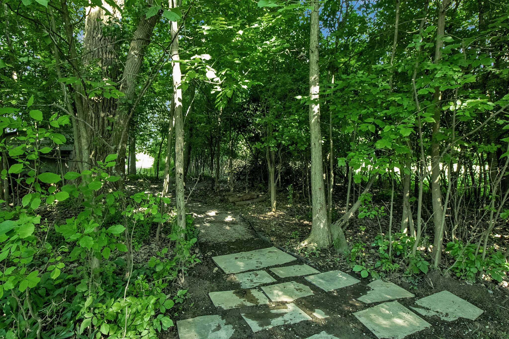  Photo 21