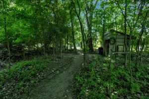  Photo 18
