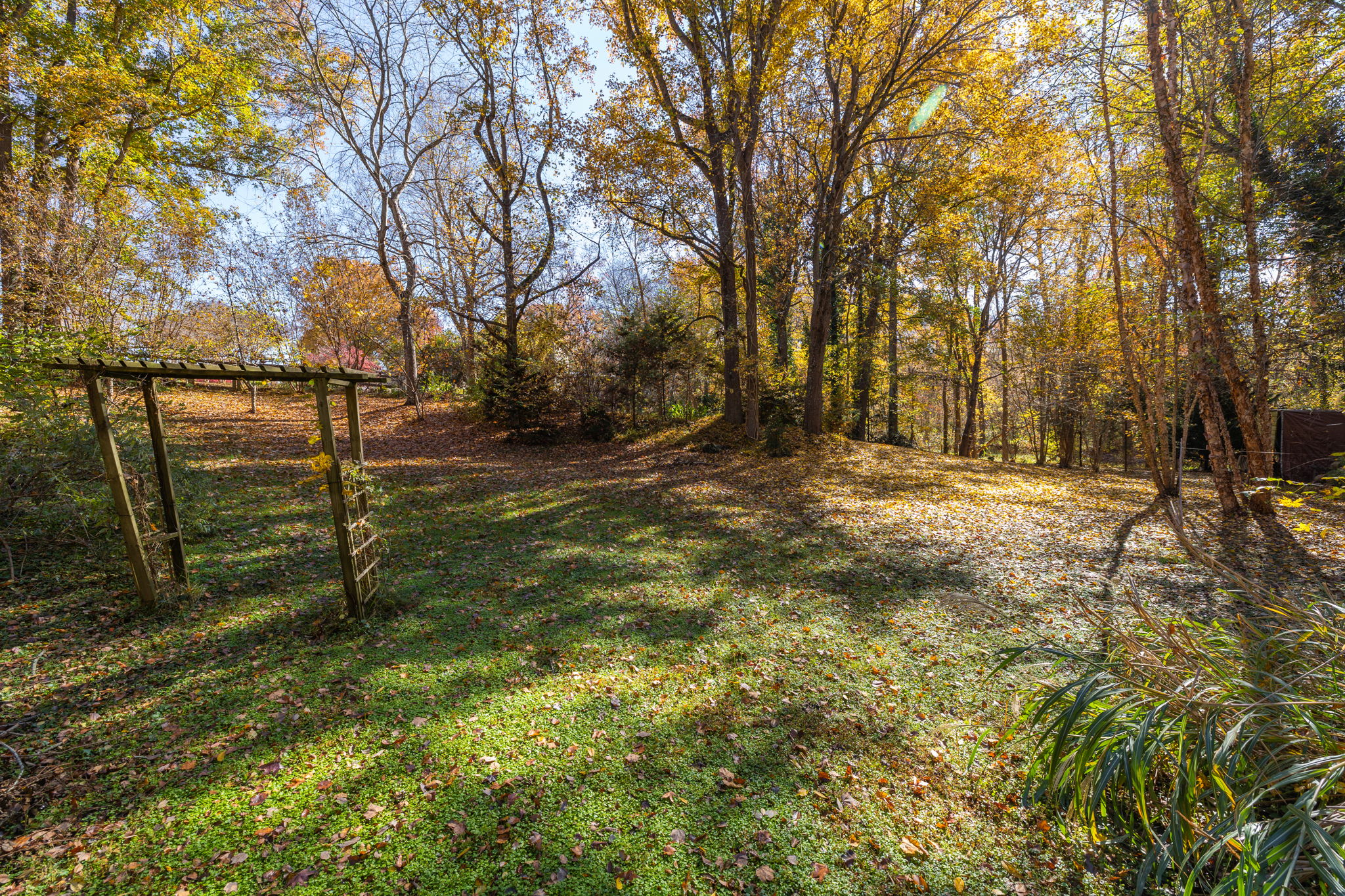 429 Palace Dr-32