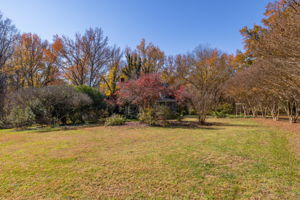 429 Palace Dr-2