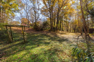 429 Palace Dr-32