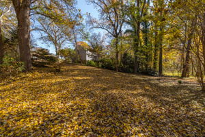 429 Palace Dr-33