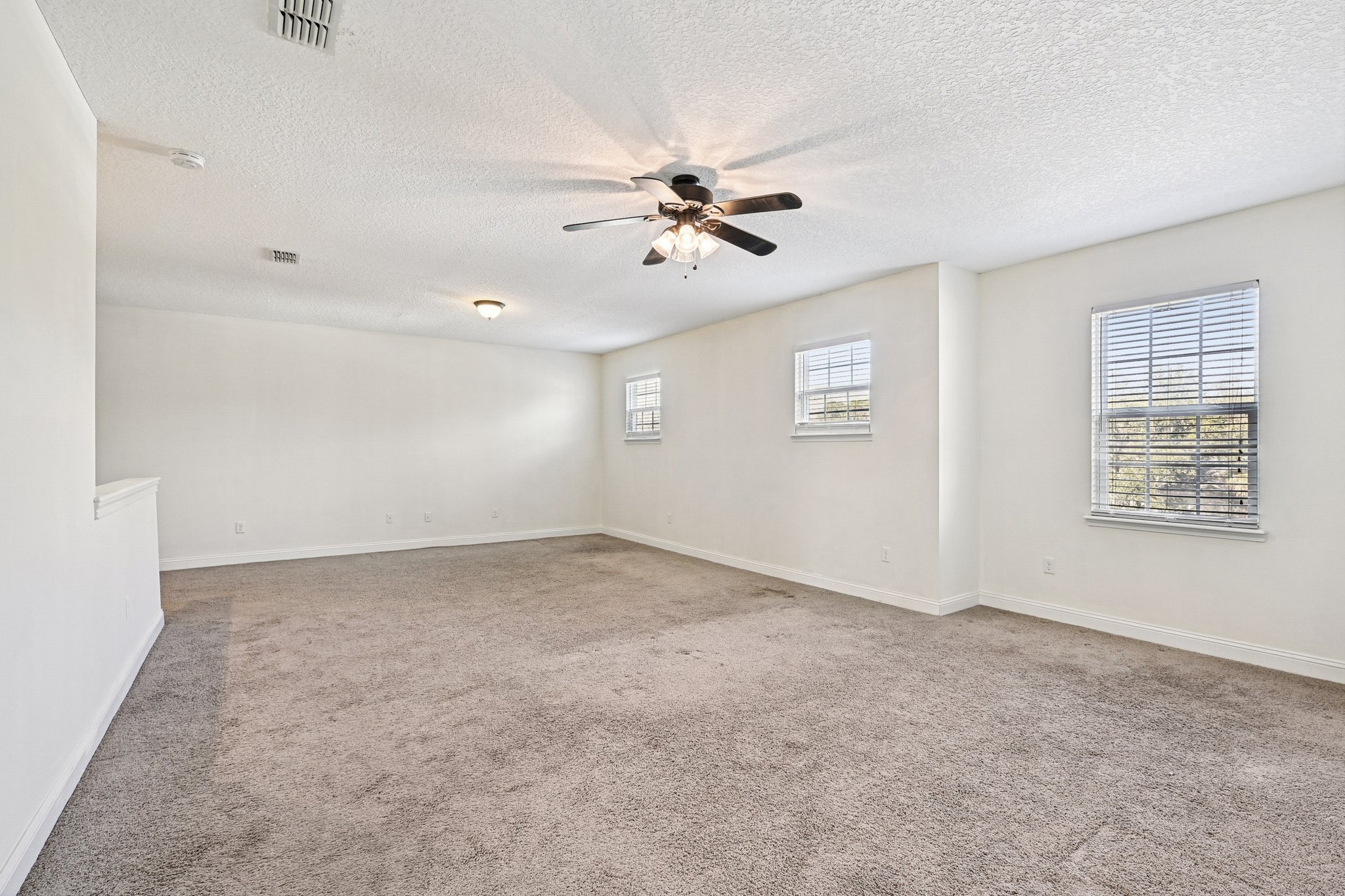 Summerton Oaks Cir-S1402-036.jpg