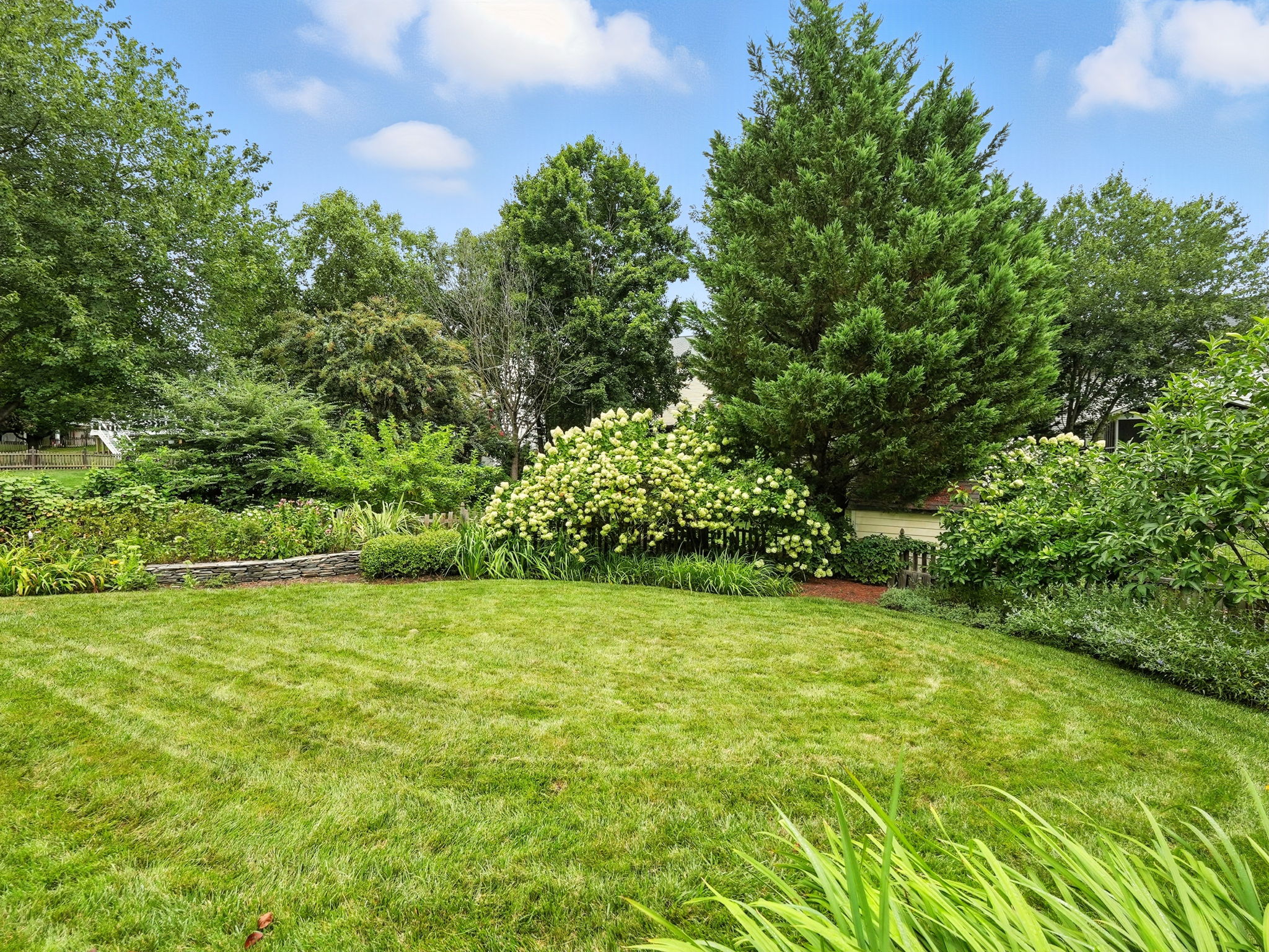 Back yard