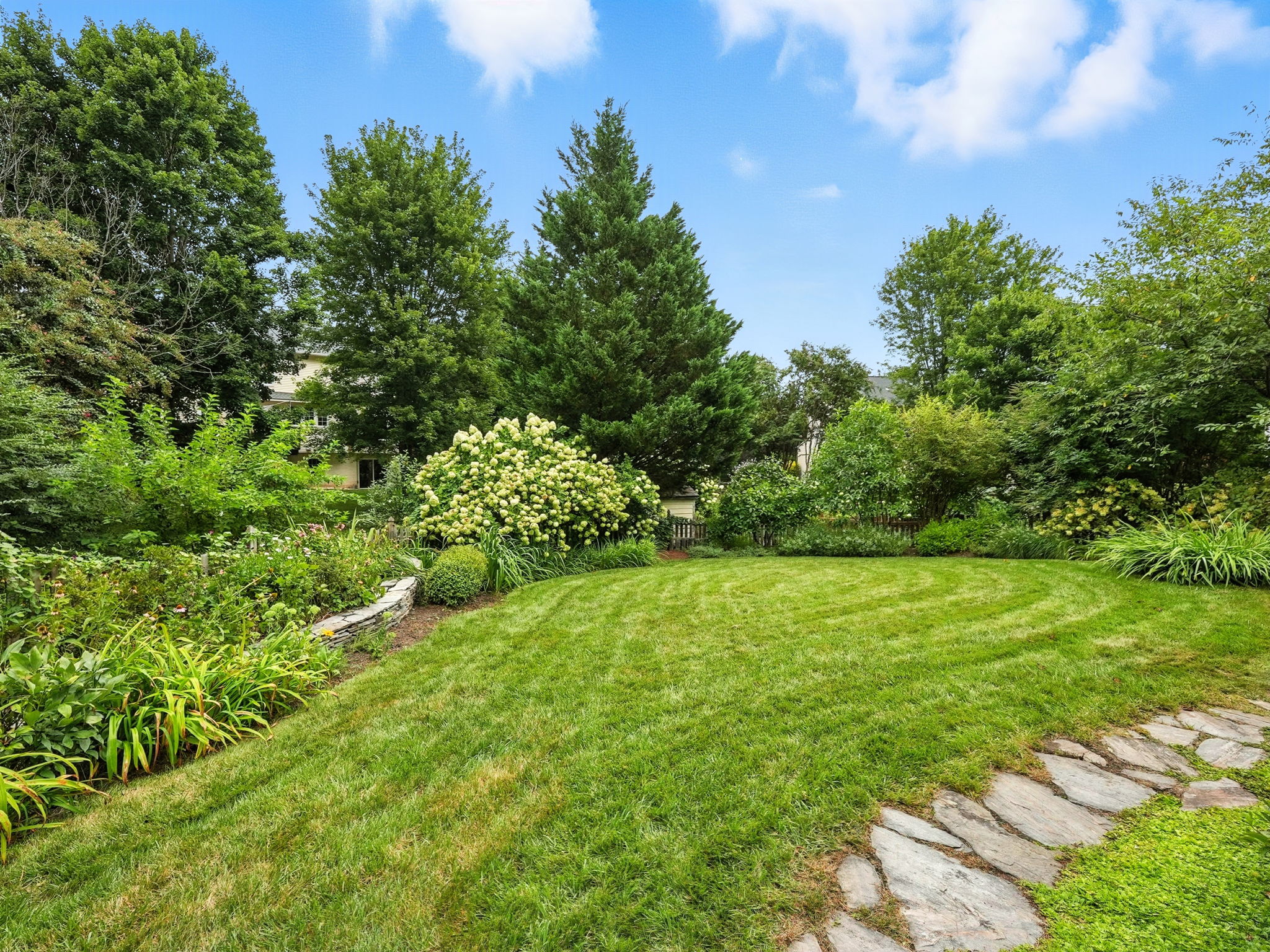 Back yard