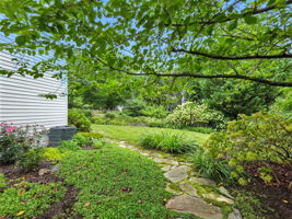 Side of yard view