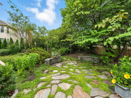 Back yard garden