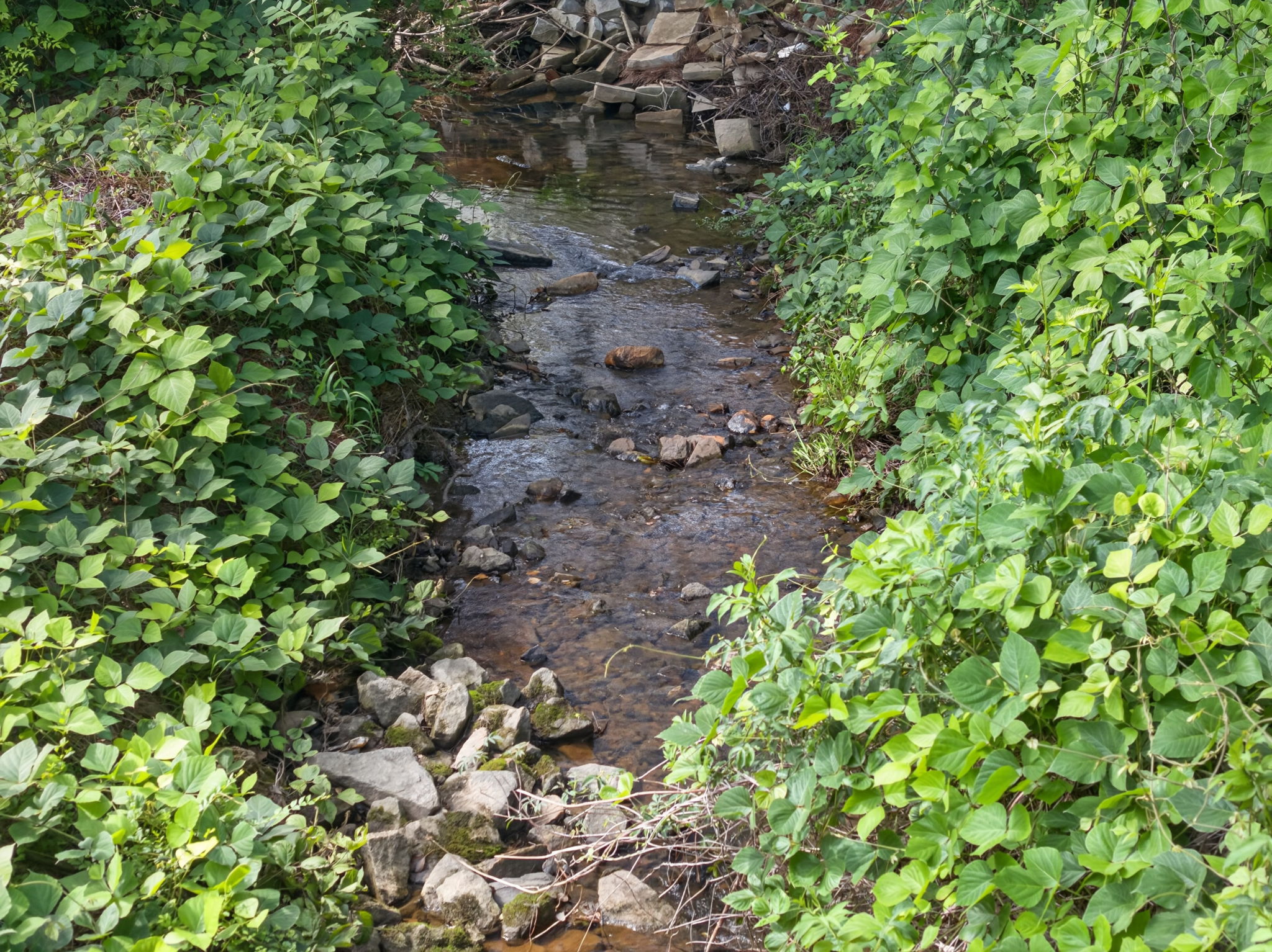 mppmedia4298buckinghampl22