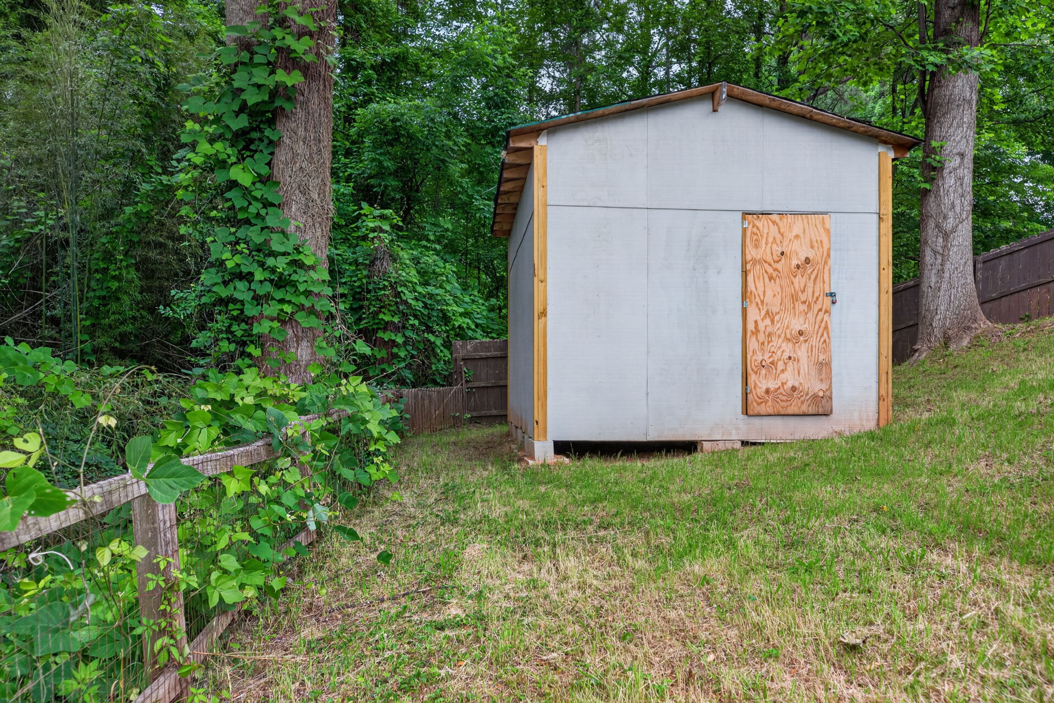 mppmedia4298buckinghampl30