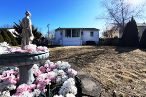 Photo 41