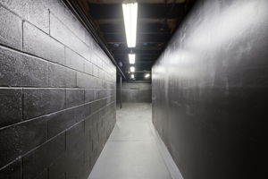  Photo 50