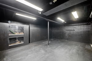  Photo 51
