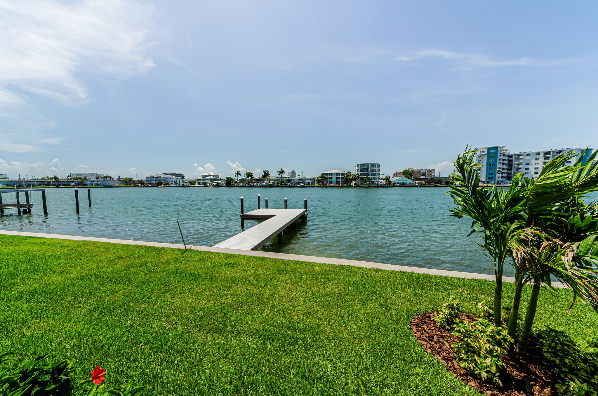 Backyard3
