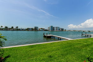 Backyard1
