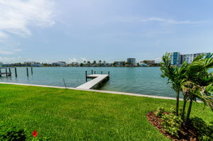 Backyard3