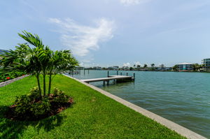 Backyard5