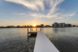 Dock20