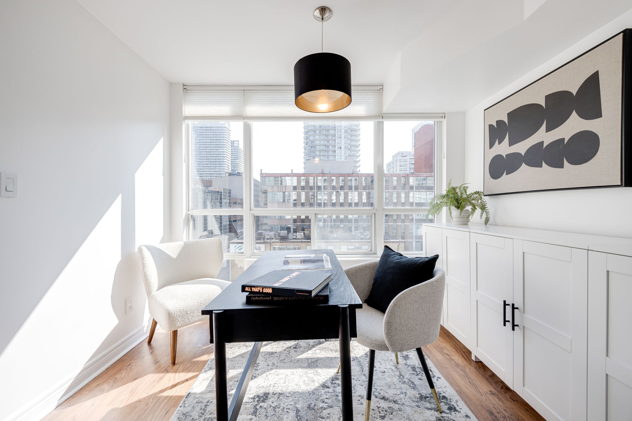 Toronto property showcase — delivered property photograph 16